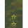 commander-general