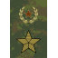 Генерал-армии