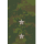 ensign